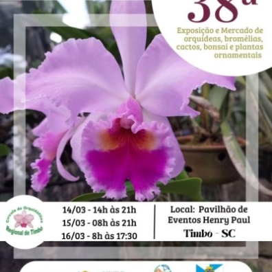 38ª Exposição de Orquídeas encanta Timbó-SC com beleza e diversidade