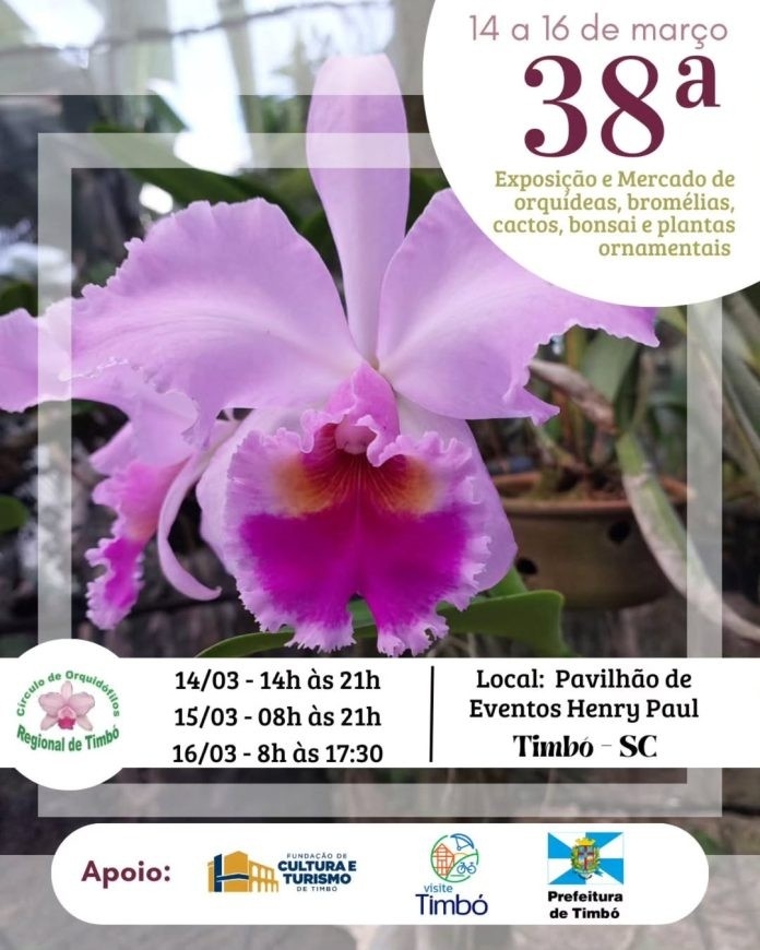 38ª Exposição de Orquídeas encanta Timbó-SC com beleza e diversidade